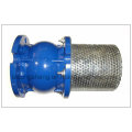 Cast Iron Flanged End Foot Valve